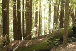 Click to see CRW_7692.jpg