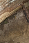 Click to see CRW_7697.jpg