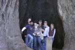 Click to see IMG_8841.JPG