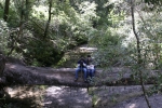 Click to see IMG_8844.JPG