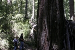Click to see IMG_8854.JPG