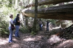 Click to see IMG_8855.JPG
