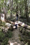 Click to see IMG_8860.JPG