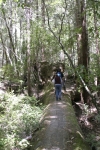Click to see IMG_8862.JPG