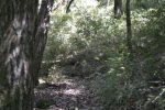 Click to see IMG_8873.JPG