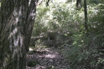 Click to see IMG_8874.JPG