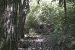 Click to see IMG_8875.JPG