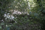 Click to see IMG_8879.JPG