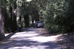 Click to see IMG_8880.JPG