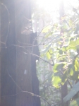Click to see dcp_0039.jpg