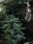 Click to see dcp_0065.jpg