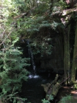 Click to see dcp_0074.jpg