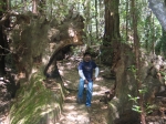 Click to see IMG_0012.jpg