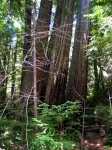 Click to see IMG_0013.jpg