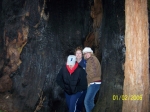 Click to see 100_0738.JPG