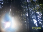 Click to see 100_0749.JPG