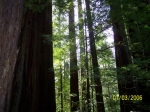 Click to see 100_0760.JPG