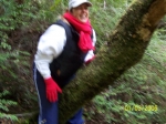 Click to see 100_0767.JPG