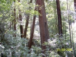 Click to see 100_0779.JPG