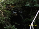 Click to see 100_0794.JPG