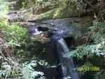 Click to see 100_0795.JPG