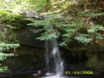 Click to see 100_0800.JPG