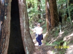Click to see 100_0816.JPG