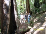 Click to see 100_0820.JPG