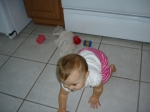 Click to see DSC01661.JPG