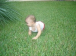 Click to see DSC01693.JPG