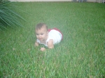 Click to see DSC01694.JPG