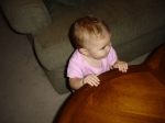 Click to see DSC01707.JPG