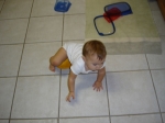 Click to see DSC01719.JPG