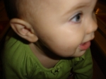 Click to see DSC01743.JPG
