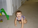 Click to see DSC01752.JPG