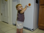 Click to see DSC01762.JPG