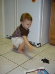 Click to see DSC01763.JPG