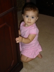 Click to see DSC01825.JPG