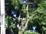 Click to see 100_1903.JPG