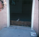 Click to see b14s013.jpg