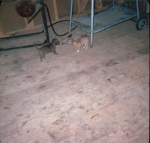 Click to see b14s014.jpg