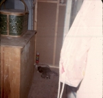Click to see b14s015.jpg