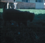 Click to see b14s017.jpg