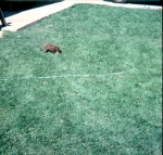 Click to see b14s018.jpg