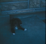 Click to see b14s020.jpg