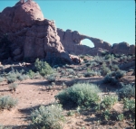 Click to see b19s006.jpg