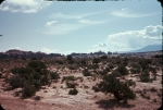 Click to see b19s023.jpg