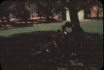 Click to see b19s031.jpg