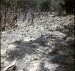 Click to see b27s016.jpg