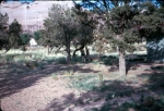 Click to see b28s011.jpg